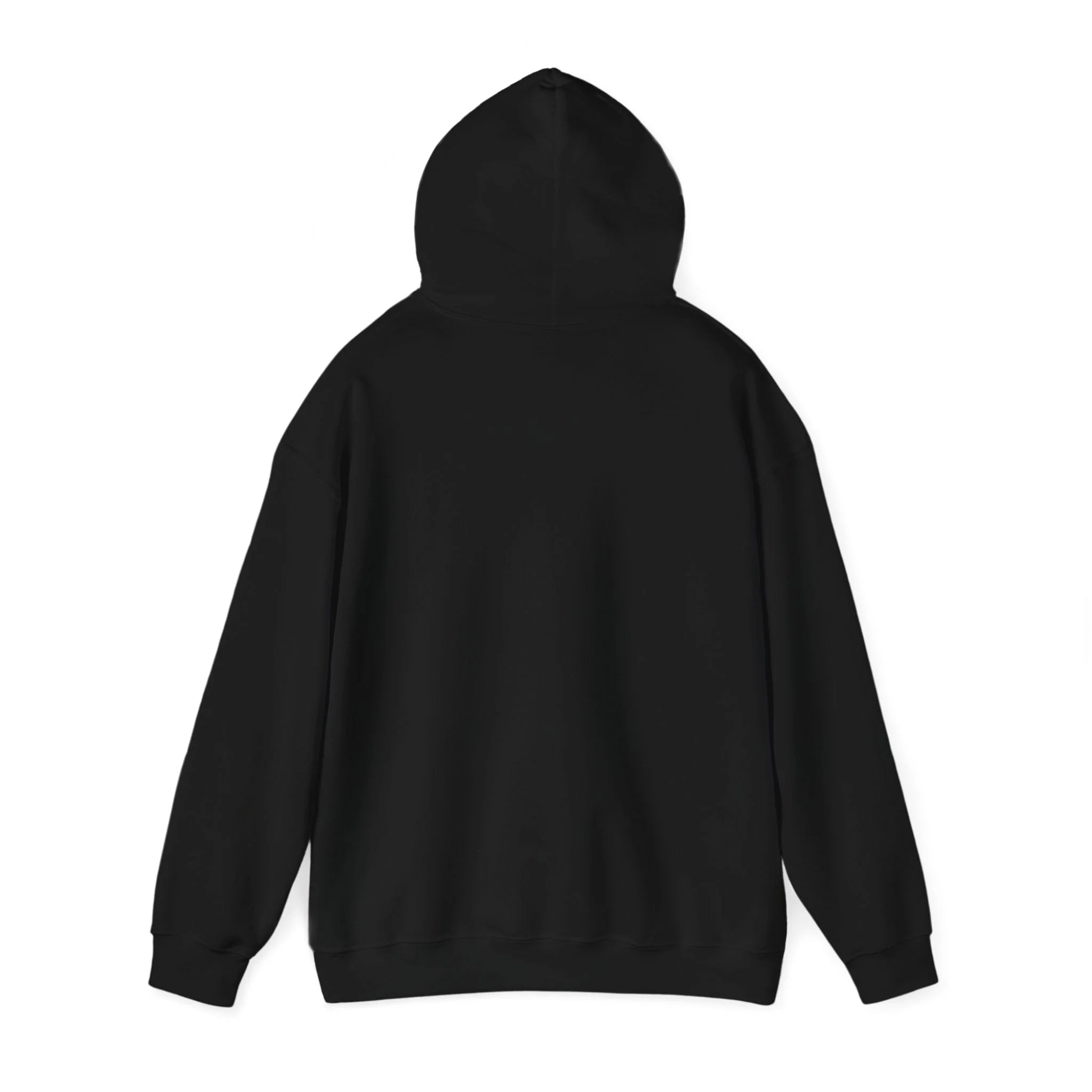Vision Hoodie V2